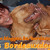 honden foto van carine met Bordeauxdogskes Bo en Fee