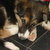 honden foto van Esther