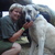 honden foto van Anna