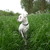 honden foto van nathalie