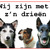 honden foto van Maaike
