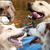 honden foto van Paco, Zara, Saltarin, Sam,Muis,Vera, Papadopoulos en Odette (Terra+, Dinky+)    