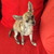 honden foto van Samantha