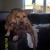 honden foto van kim