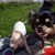 honden foto van Margrietha