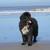 honden foto van Wilma, baasje van Roosje