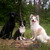 honden foto van Karen