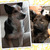 honden foto van Wendy