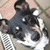 honden foto van Kimberley