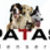 honden foto van PATAS Hondenservice