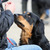honden foto van Rik Koopman