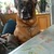 honden foto van Melanie,Brenda en Loekie!