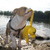 honden foto van veronique 