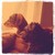 honden foto van Nicole