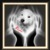 honden foto van simbalove