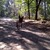 honden foto van natasja
