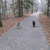 honden foto van Lady