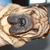 honden foto van Kim