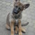 honden foto van Marion en Hertha