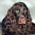 honden foto van Myriam D S