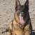 honden foto van Nancy