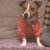 honden foto van denise
