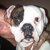 honden foto van cissy