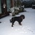 honden foto van Anneke