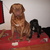 honden foto van matti