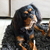 honden foto van Ella & Lia