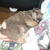 honden foto van Yvonne