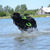 honden foto van Helga, baasje van Chikara