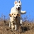 honden foto van Melissa  ~Angel & Kylan~