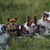 honden foto van team border lolly