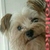 honden foto van Polly <3