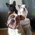 honden foto van chantal