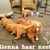 honden foto van Sienna & Dianne