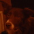 honden foto van Lucinda de Graaff