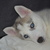 honden foto van Roxy <3