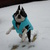 honden foto van Liane 