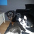 honden foto van erika