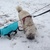 honden foto van Chantal