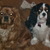 honden foto van nathaly
