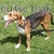 honden foto van Niels