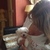 honden foto van Ria en Maxie