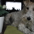 honden foto van Gerda - Roland .. Genia , R.I.P Xana & Riski