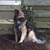 honden foto van regina 