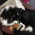 honden foto van XShellyX