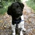 honden foto van Eva