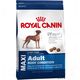 Royal canin maxi adult body condition hondenvoer   dubbelpak